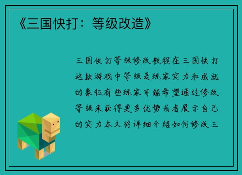 《三国快打：等级改造》